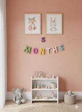 Wool Felt 1–12 Month Letter Garland – Baby Milestone Banner, Nursery Decor