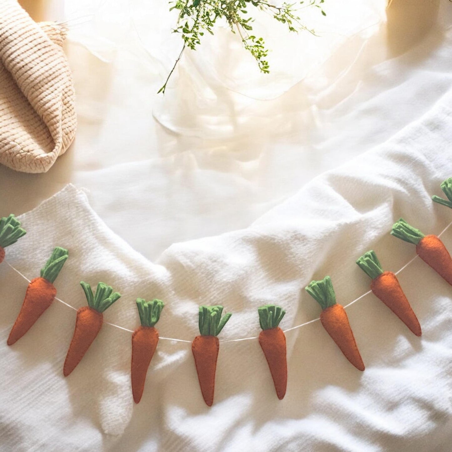 Carrot-themed decorative banner on a white surface with a plant in the background