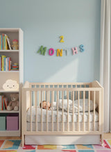 Wool Felt 1–12 Month Letter Garland – Baby Milestone Banner, Nursery Decor