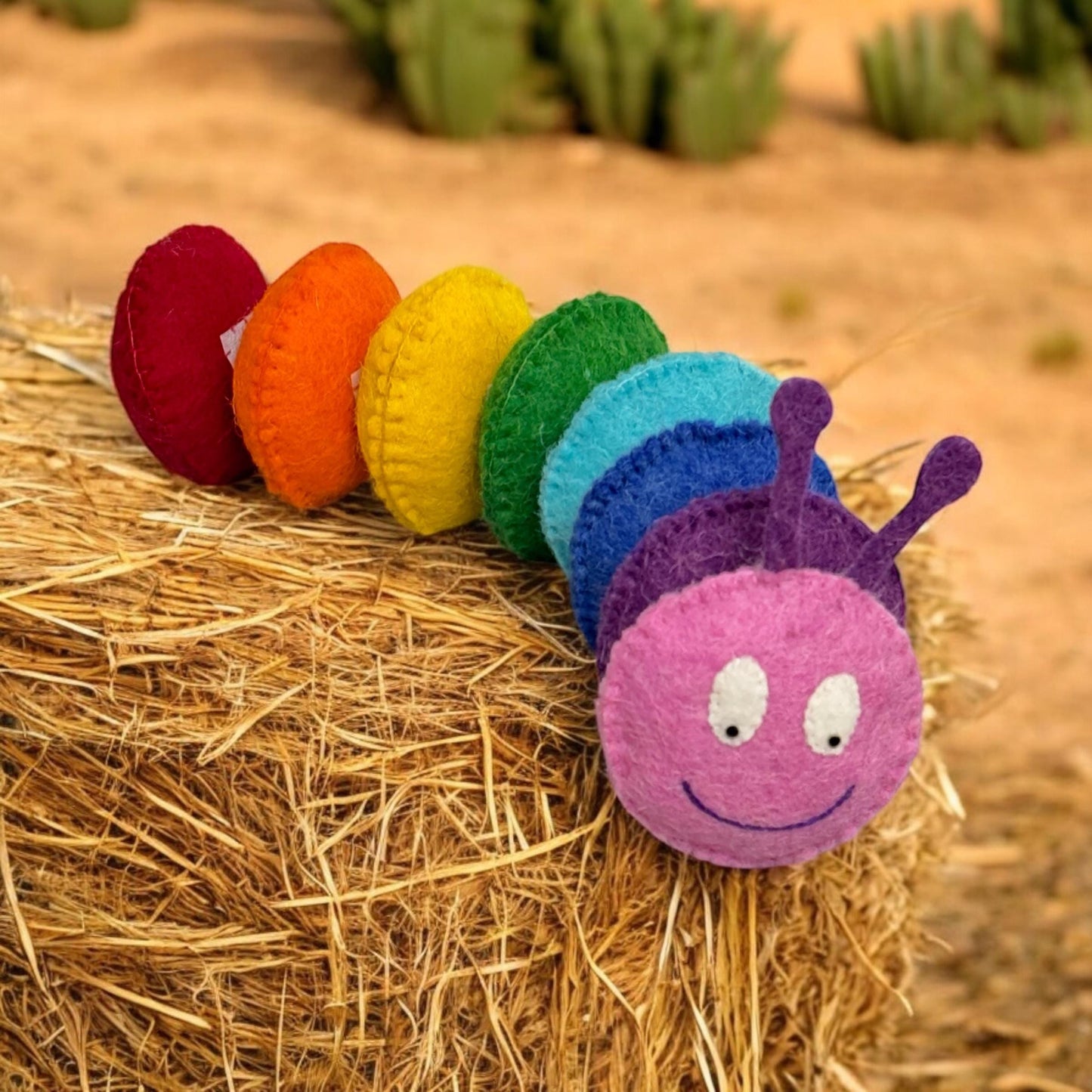 Handmade Wool Felt Caterpillar Toy: Rainbow Color Toddler Plushie