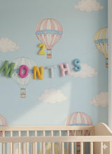 Wool Felt 1–12 Month Letter Garland – Baby Milestone Banner, Nursery Decor