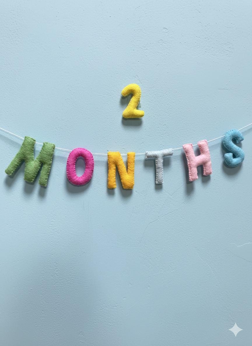 Wool Felt 1–12 Month Letter Garland – Baby Milestone Banner, Nursery Decor