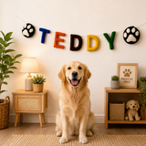 Personalized Dog Name Garland – Handmade Wool Felt Pet Birthday Banner